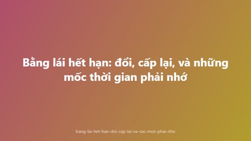 Bằng lái hết hạn: đổi, cấp lại, và những mốc thời gian phải nhớ