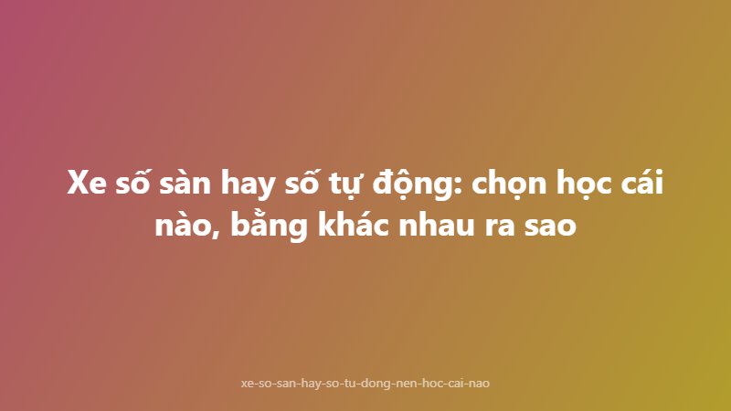 Xe số sàn hay số tự động: chọn học cái nào, bằng khác nhau ra sao